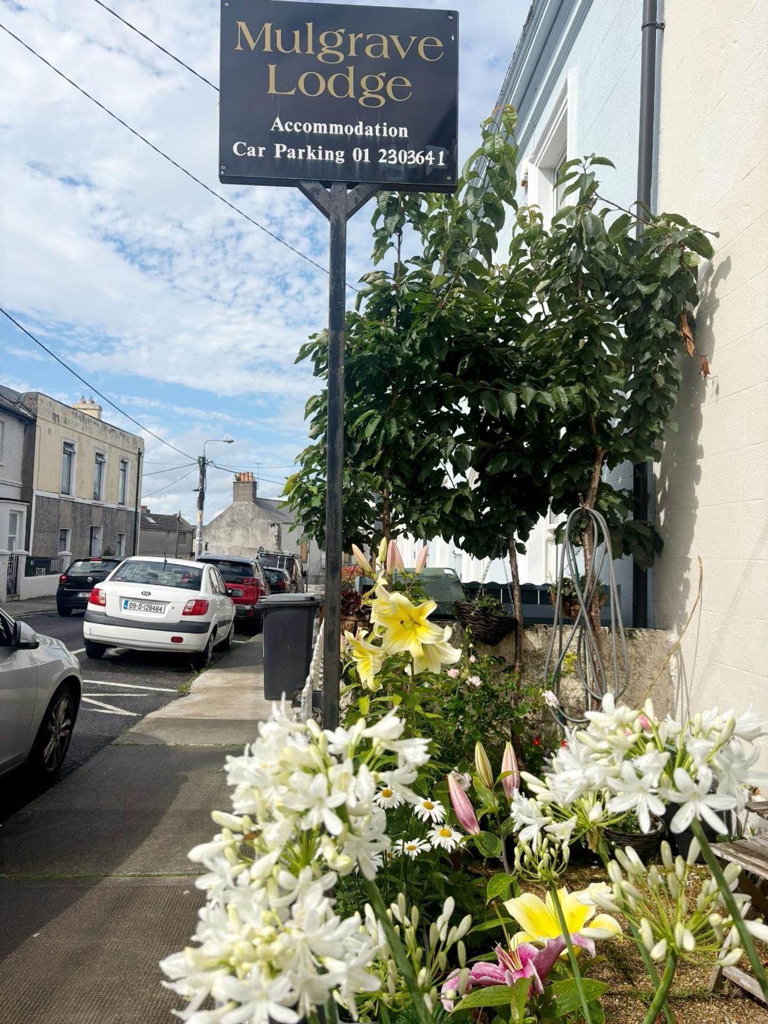 Mulgrave Lodge Dun Laoghaire Esterno foto